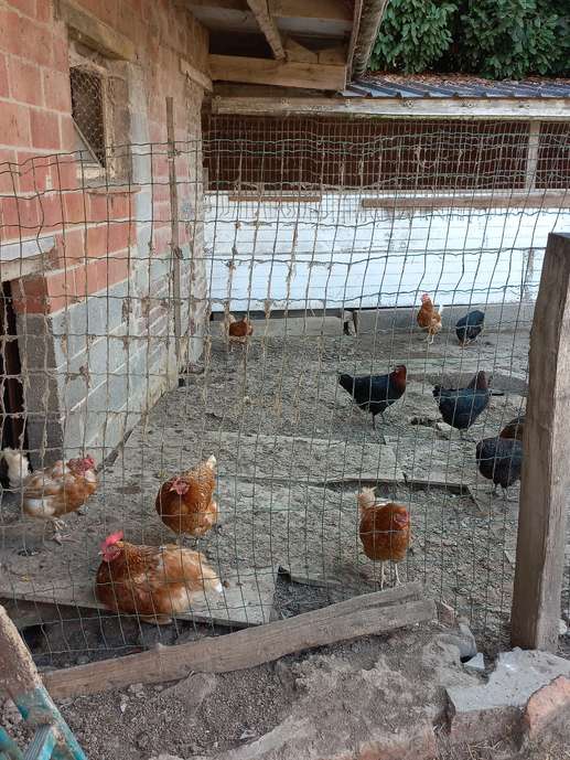 Added a photo to a location