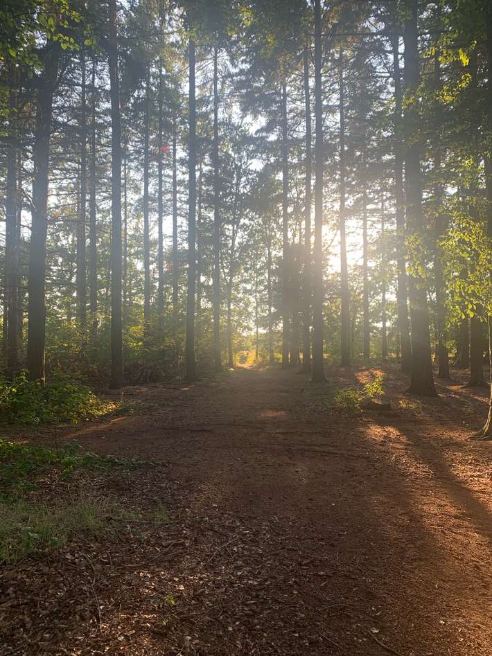 Camping Landgoed Borkerheide
