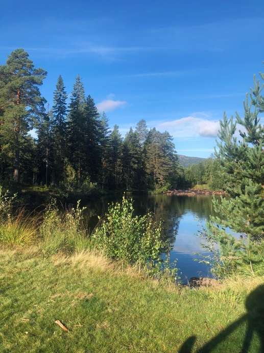 Added a photo to a location