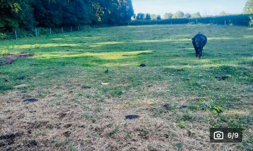 Een foto toegevoegd aan een locatie