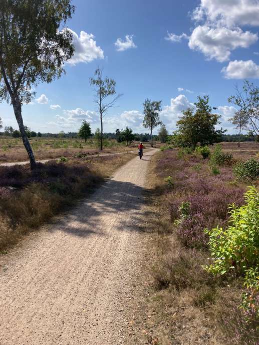 Een foto toegevoegd aan een locatie