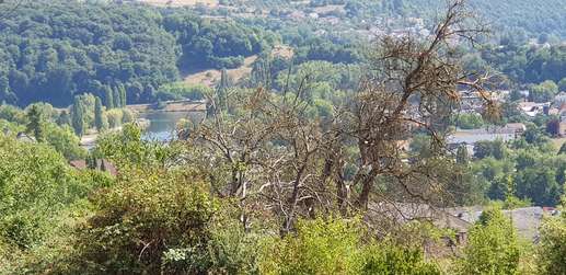 Aggiunta una foto a una posizione