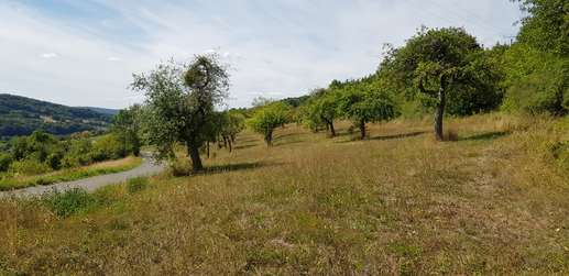 Aggiunta una foto a una posizione