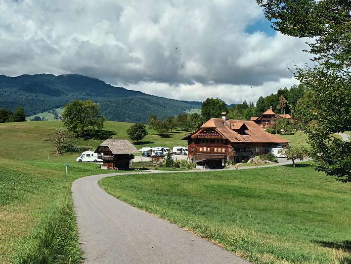 Bim Wald