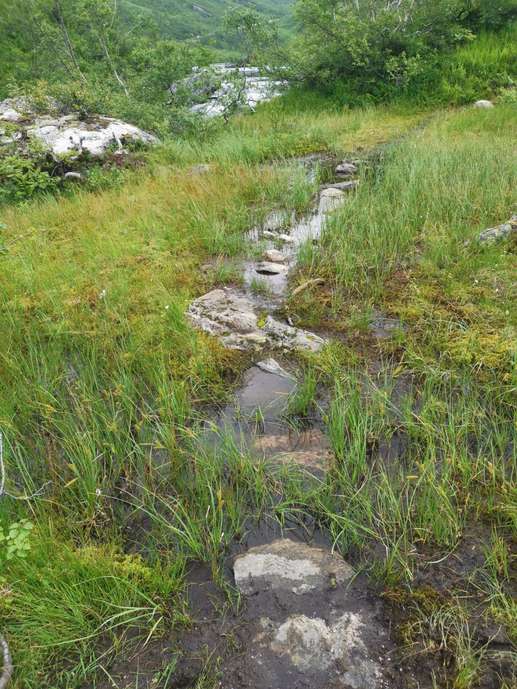 Added a photo to a location