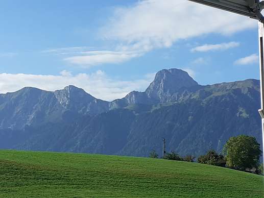 Added a photo to a location