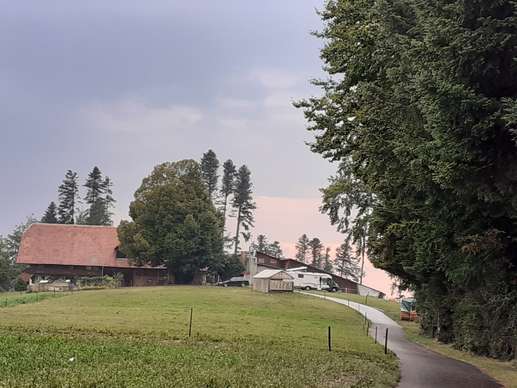 Added a photo to a location