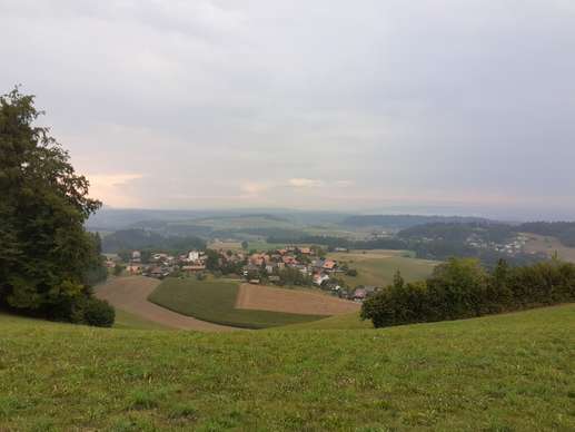 Added a photo to a location