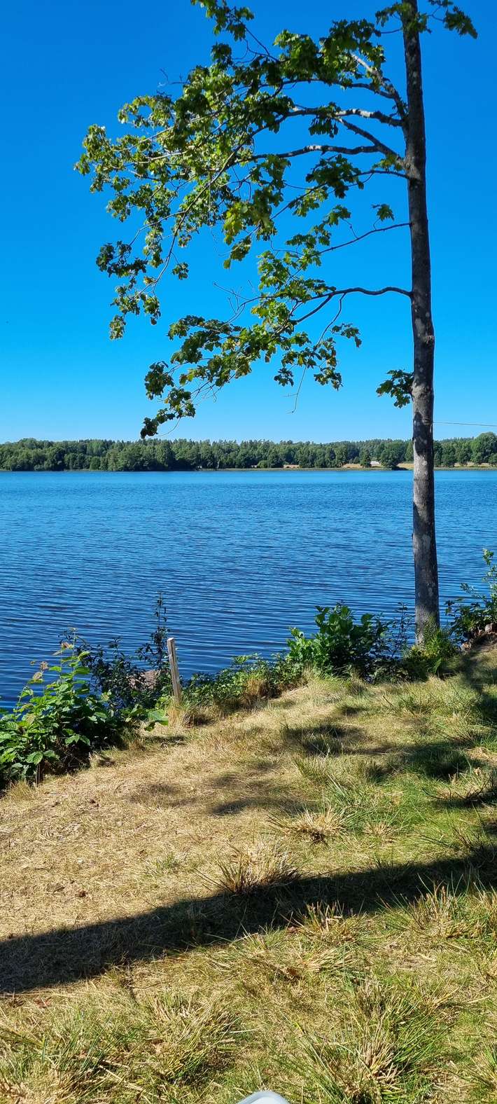 Tolgs Naturcamping