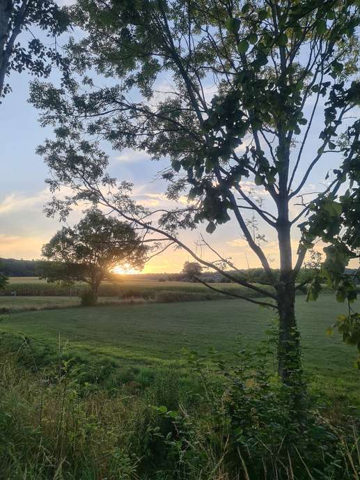 Een foto toegevoegd aan een locatie