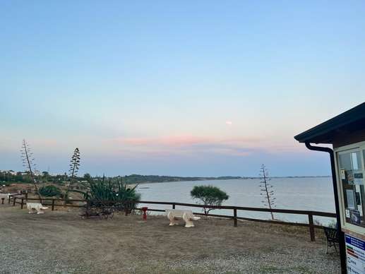 Added a photo to a location