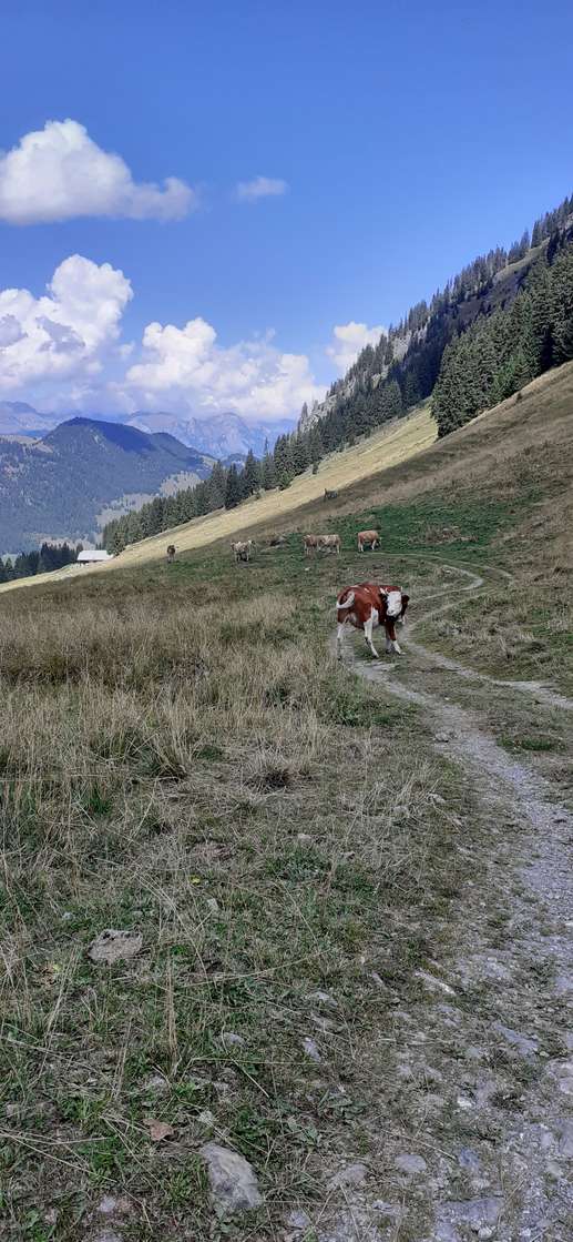 Einem Ort wurde ein Foto hinzugefügt