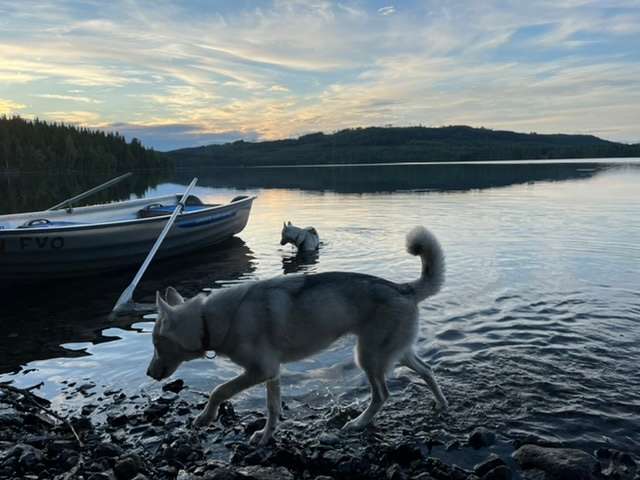 Nordic Husky Farm Björnvägen