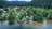 Camping de Ramberchamp