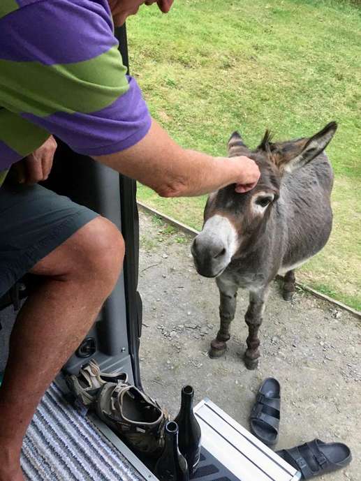 Een foto toegevoegd aan een locatie