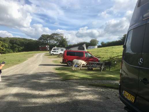 Een foto toegevoegd aan een locatie
