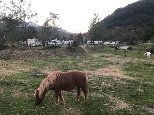Aggiunta una foto a una posizione