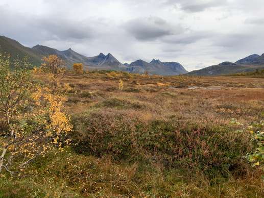 Added a photo to a location