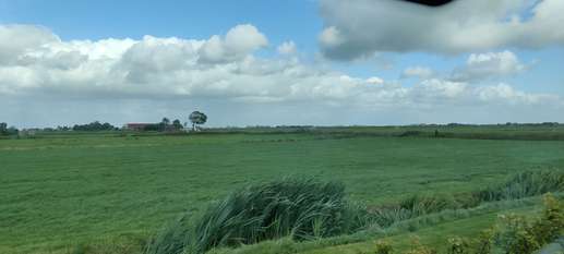 Added a photo to a location