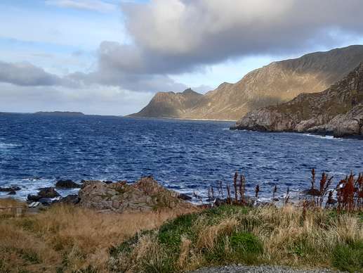 Added a photo to a location