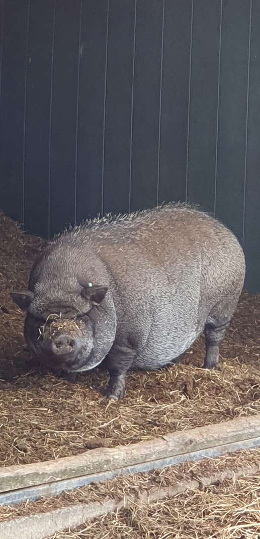 Een foto toegevoegd aan een locatie