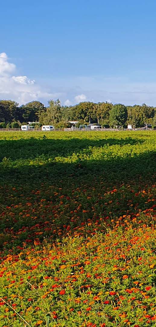 Een foto toegevoegd aan een locatie