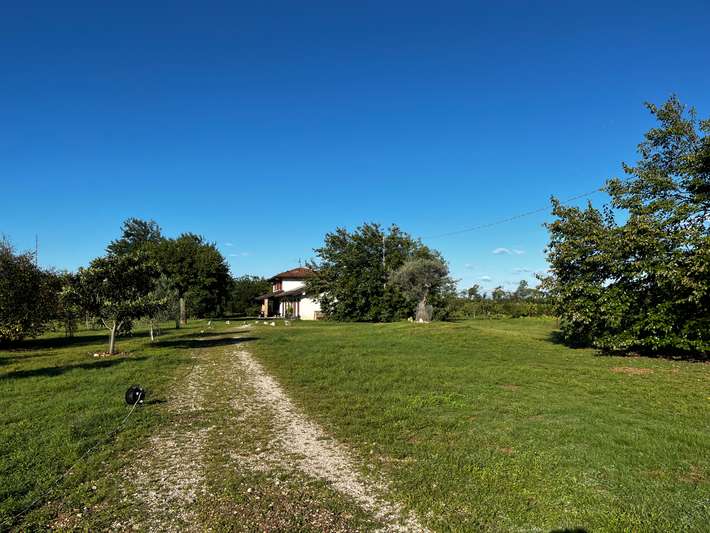 Villa Max