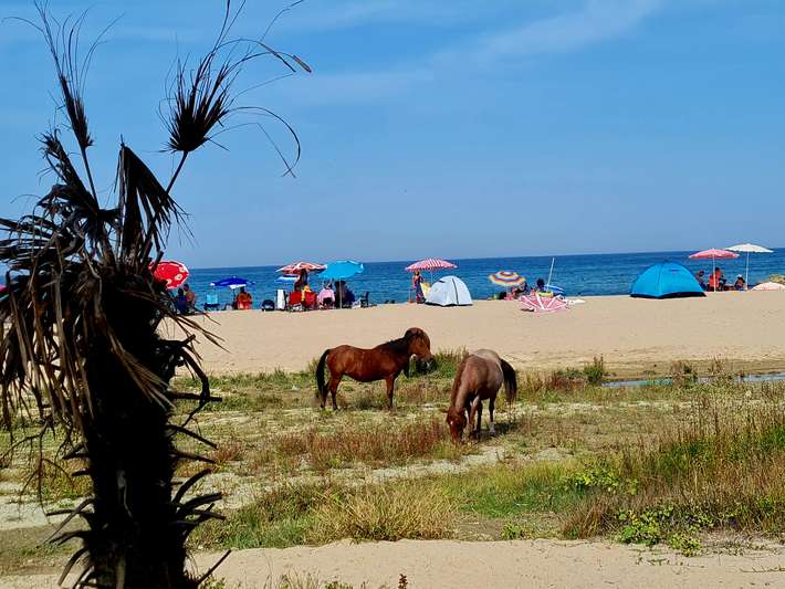Camping Istanbulkamp
