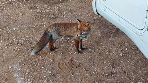 Aggiunta una foto a una posizione