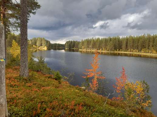 Added a photo to a location