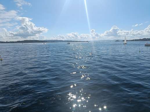 Added a photo to a location