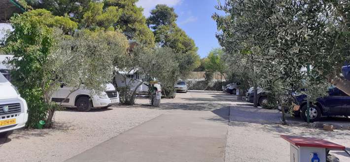 Camping  Mini Sani