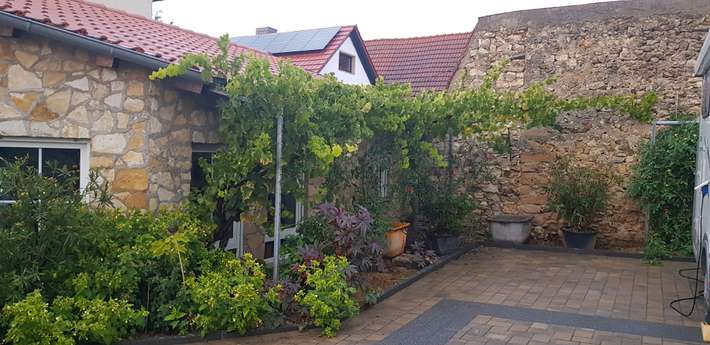 Weingut Burkhard Camping