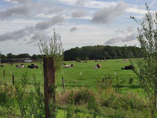 Added a photo to a location