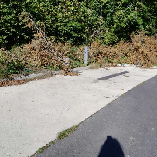 Added a photo to a location