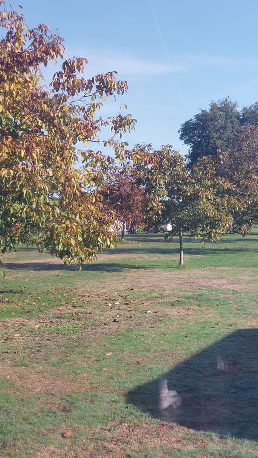 Ajout d'une photo à un emplacement