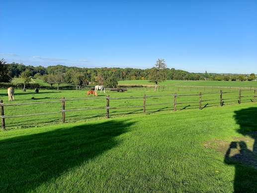 Added a photo to a location