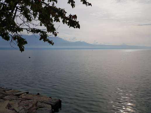 Added a photo to a location