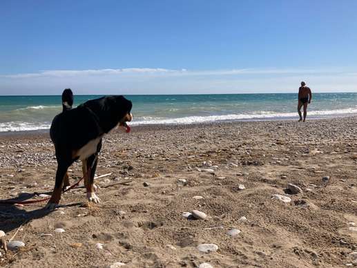 Ajout d'une photo à un emplacement