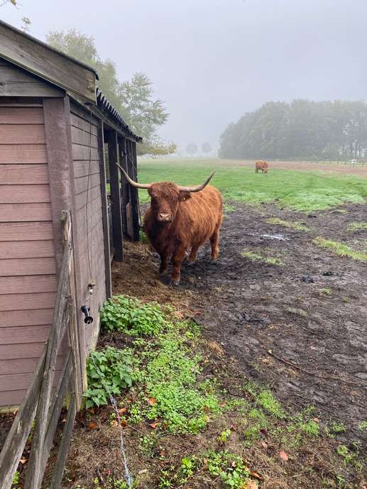 Einem Ort wurde ein Foto hinzugefügt