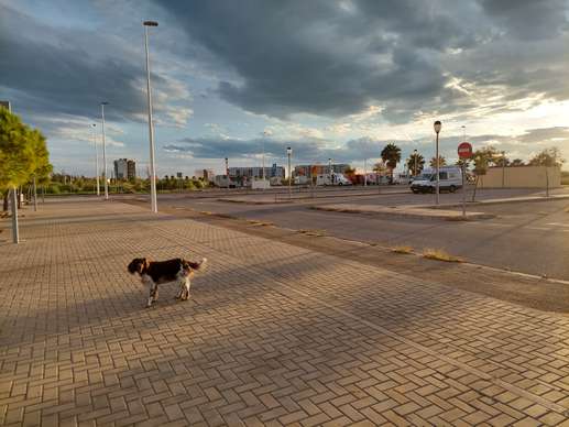Añadió una foto a una ubicación