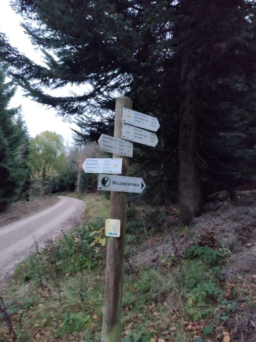 Een foto toegevoegd aan een locatie