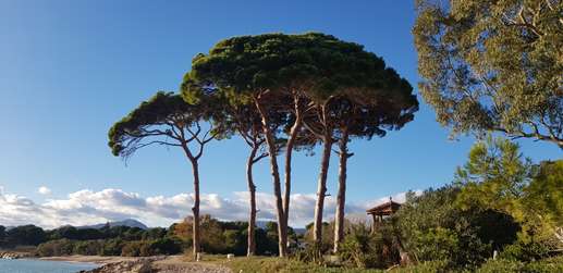 Aggiunta una foto a una posizione