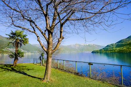 Lakeview Camping