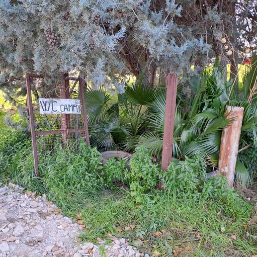 Added a photo to a location