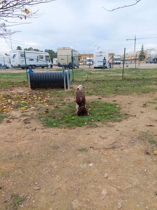 Añadió una foto a una ubicación