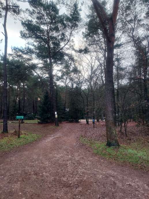 Een foto toegevoegd aan een locatie