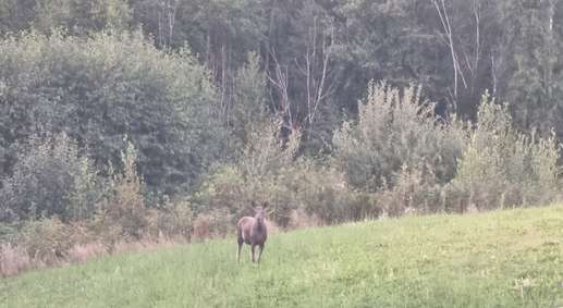 Een foto toegevoegd aan een locatie