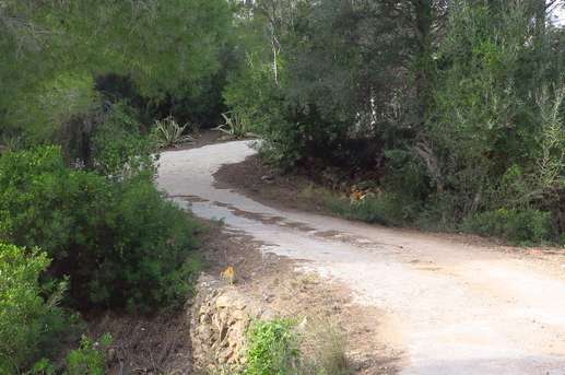 Aggiunta una foto a una posizione