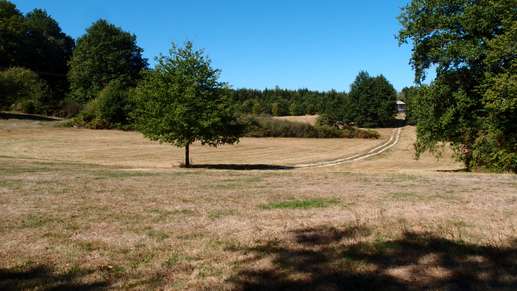 Een foto toegevoegd aan een locatie